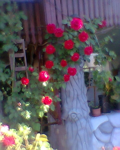 Fotogr.0158
