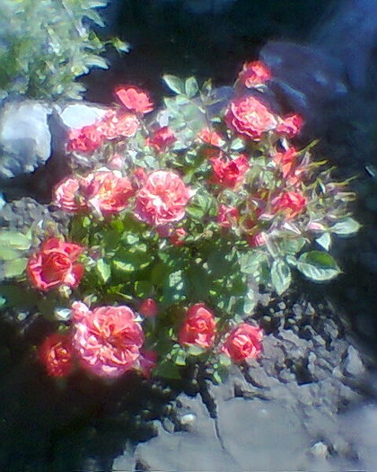 Fotogr.0159