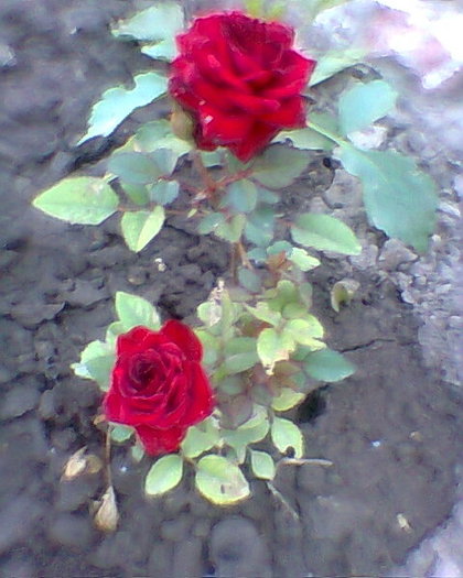 Fotogr.0160
