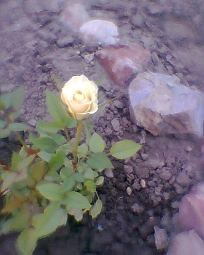 Fotogr.0162