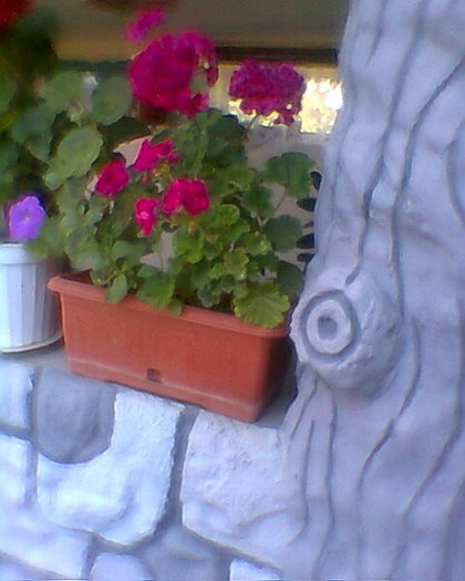 Fotogr.0164