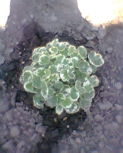 Fotogr.0167
