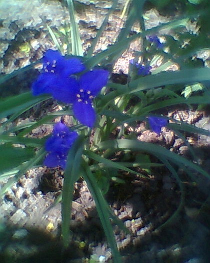 Fotogr.0170