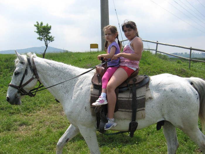 IMG_1725 - ECHITATIE 2011