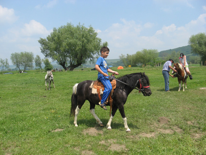 IMG_1727 - ECHITATIE 2011