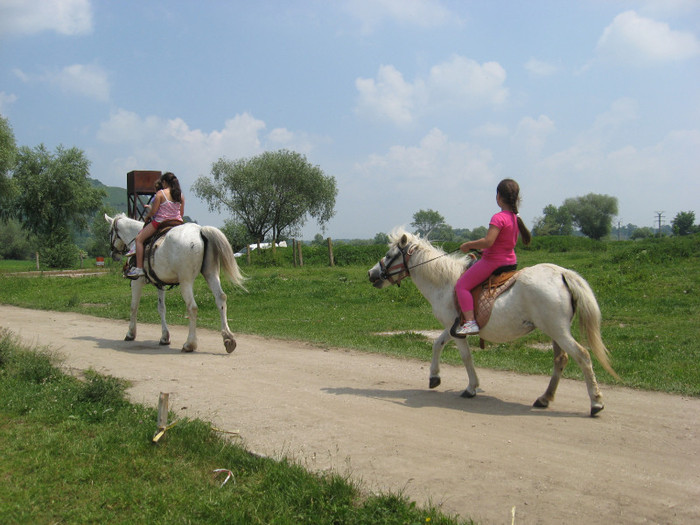 IMG_1728 - ECHITATIE 2011