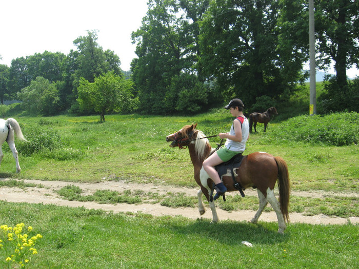 IMG_1733 - ECHITATIE 2011