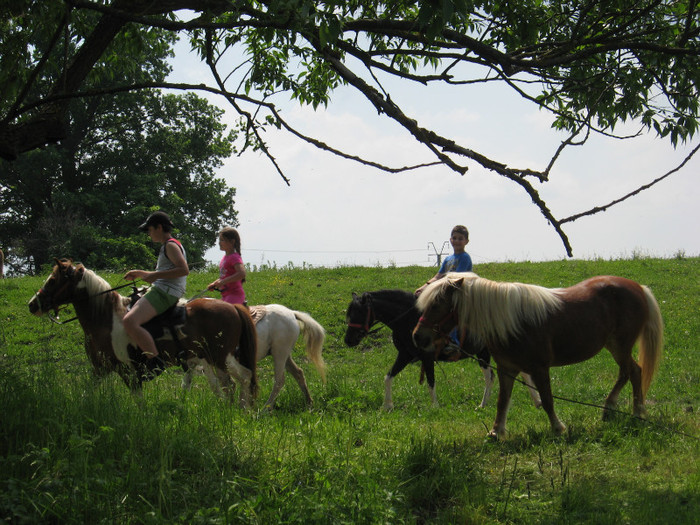 IMG_1740 - ECHITATIE 2011