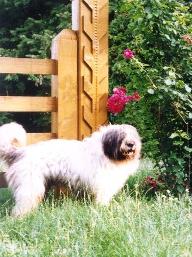 Ursu in 1998