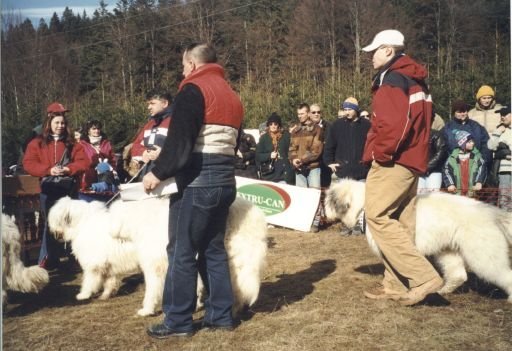 Obelix RPJ Azuga 2000 4 - Amza de Romania - Obelix