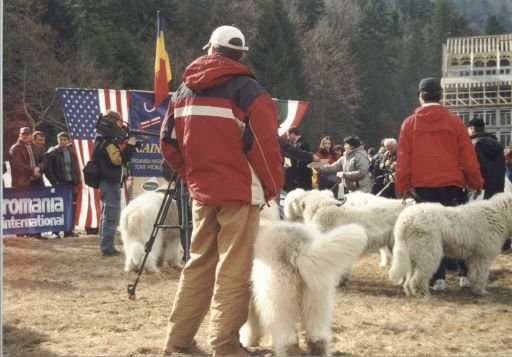 Obelix RPJ Azuga 2000 6 - Amza de Romania - Obelix