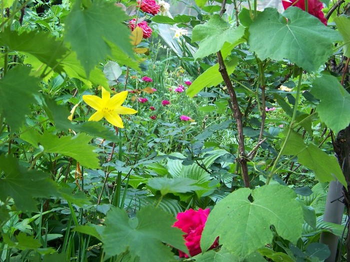 100_6285 - 27 31 Mai 2011
