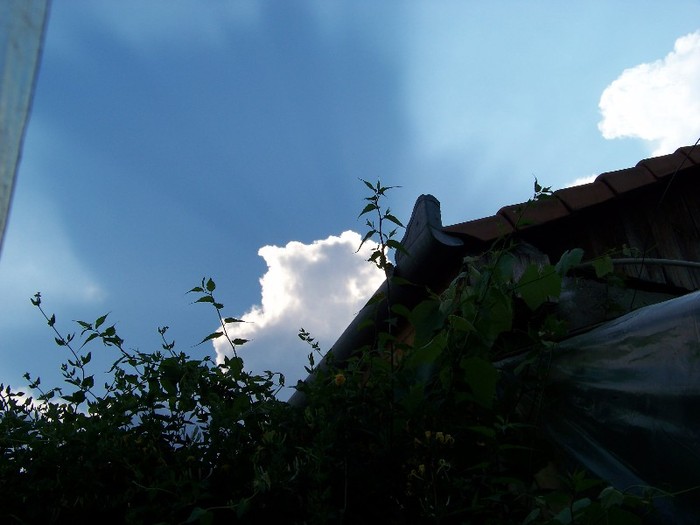 100_6287 - 27 31 Mai 2011