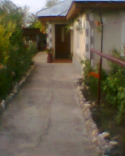 Fotogr.0182 - gradina mea