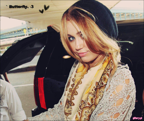 •MilSs(6)