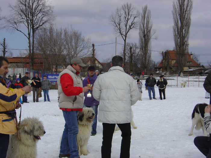 Brasov 2004 - Concursuri - Contests