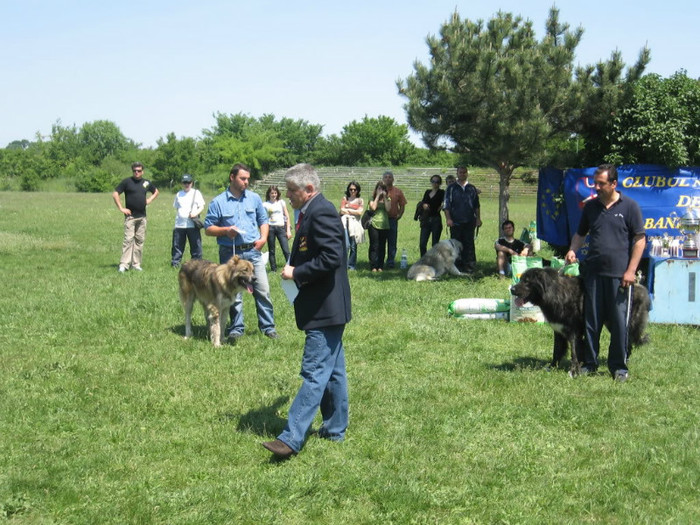 CRAIOVA 2009 - Concursuri - Contests