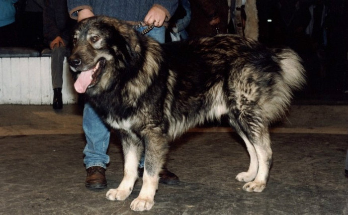 Finala Bucuresti 1998 9 - Finala Bucuresti 1998