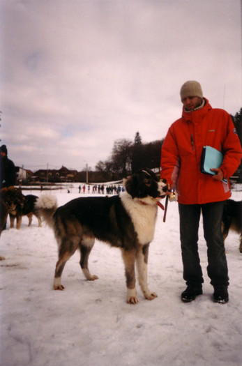 Expo Brasov 2004 vajaiala - Brasov 2004