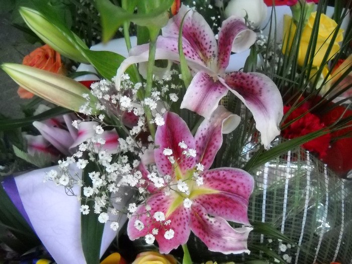 DSCN6060 - FLORI DIVERSE