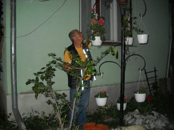 DSCN6135 - FLORI DIVERSE