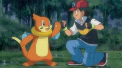 Buizel and Ash