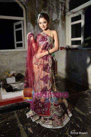 normal_Sara Khan at designer Rohit Verma PhotoShoot on 18th May 2011 (26)