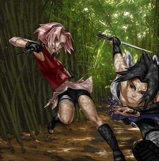 Sakura_fights_Sasuke_by_tcumm001 - sasuke si sakura