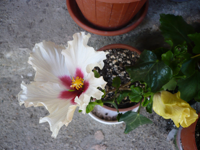 P1070389
