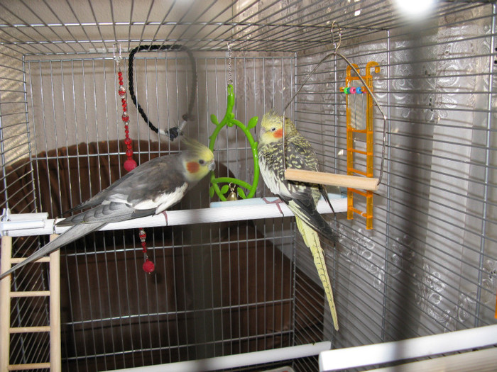 primele impresii alaturi de amica lui