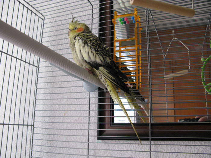 ea...cea mai cuminte