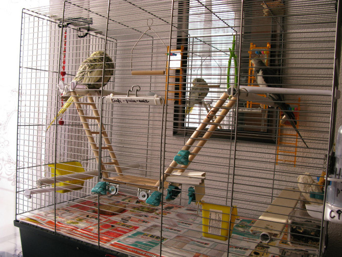 e bine si cald in colivie...