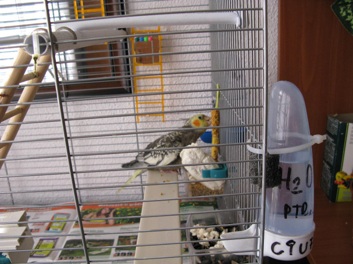 vitaminele nu strica niciodata...