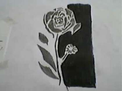 SP_A0254 - trandafiri in creion