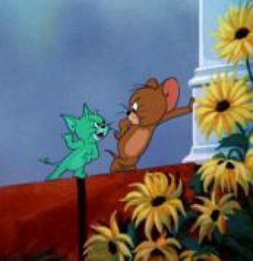 WDDPVLYBKAGQSKFEDXF - Desenele copilariei Tom si Jerry