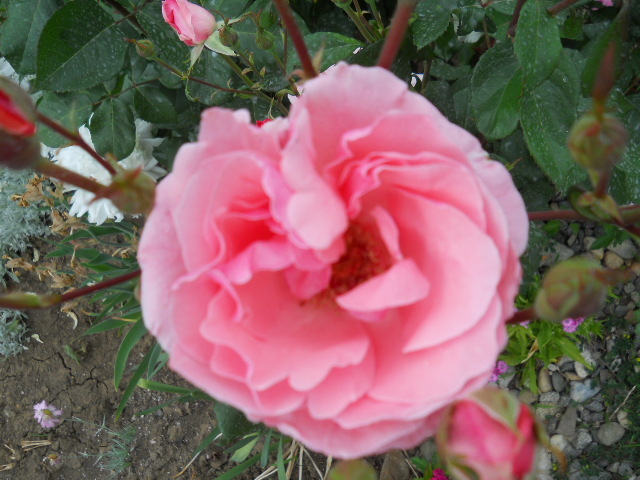 045