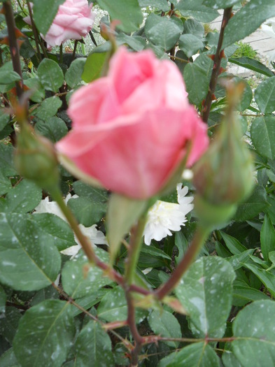 054