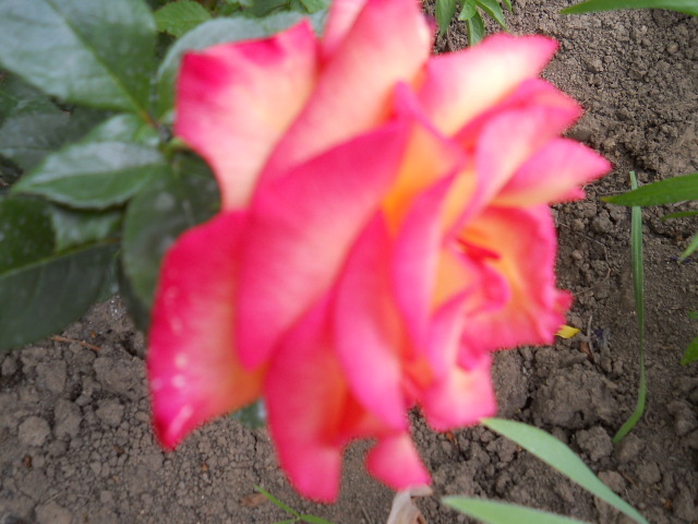078