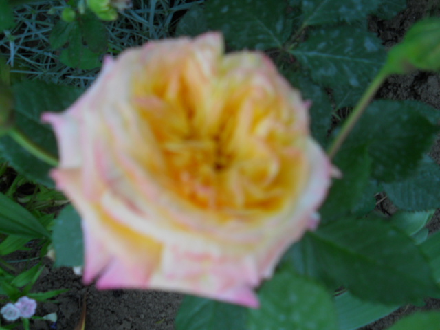 075