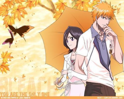 1203042781_f - ichigo si rukia