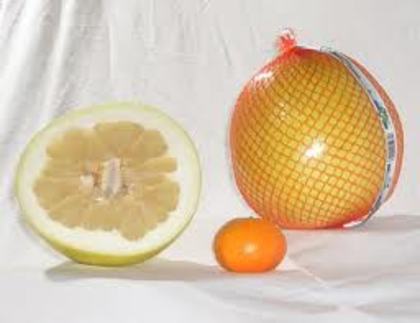 pomelo - Magazin fructe