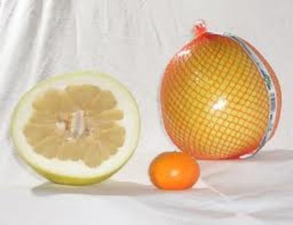 pomelo