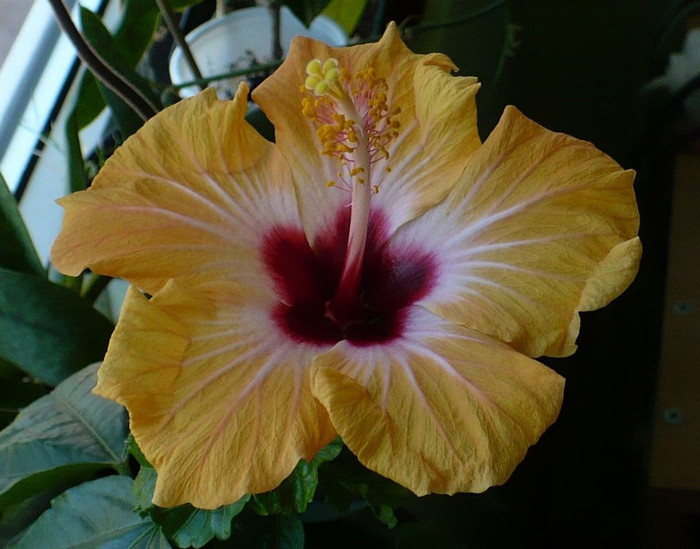 P1330937