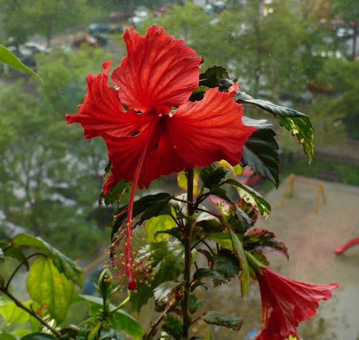 P1330927