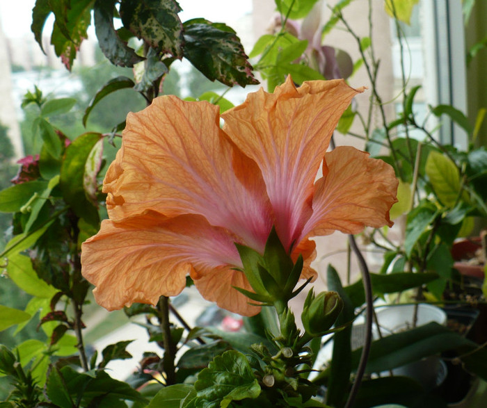 P1340277