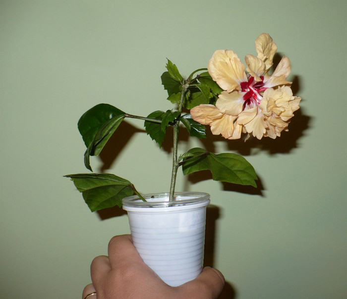 P1340283