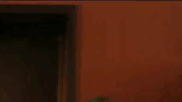 Hannah Montana - Que Sera&rlm; 049