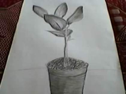 SP_A0338 - desenele mele in creion