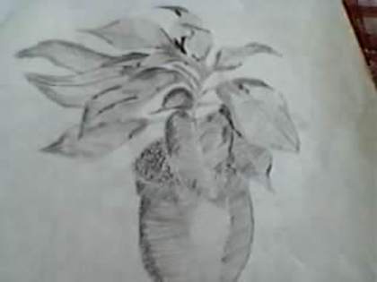 SP_A0340 - desenele mele in creion