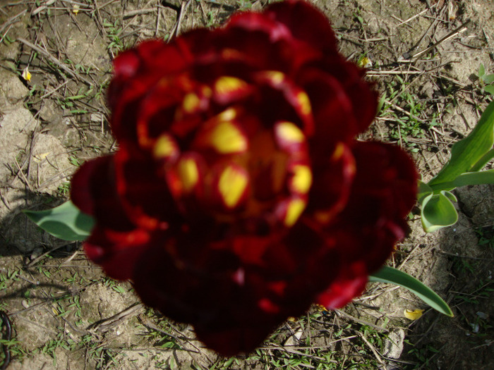 DSC02802 - 1V ALBUM 2011